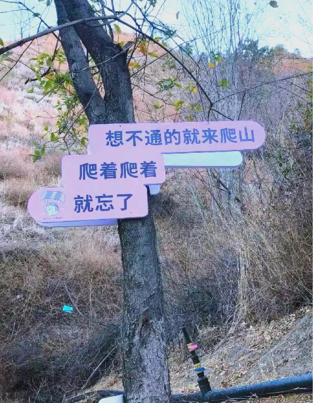 米兰体育app-国内劲旅挑战亚洲豪强,誓以胜利为归宿的简单介绍