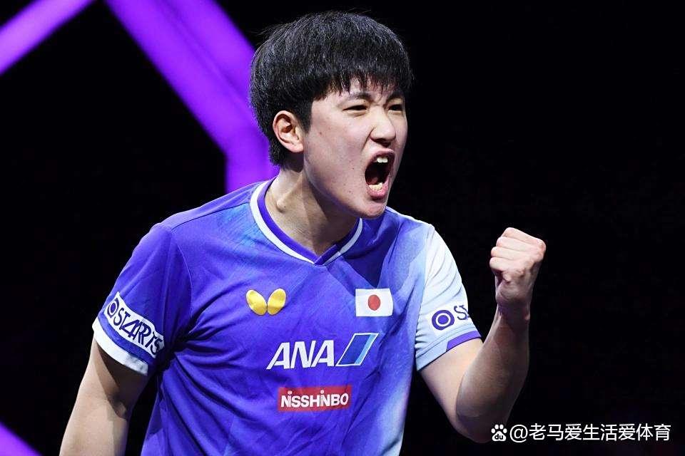 米兰体育下载-关于波兰队绝杀中国队，张本智和关键制胜的信息